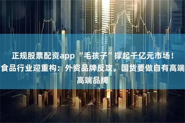 正规股票配资app “毛孩子”撑起千亿元市场！宠物食品行业迎重构：外资品牌反攻，国货要做自有高端品牌